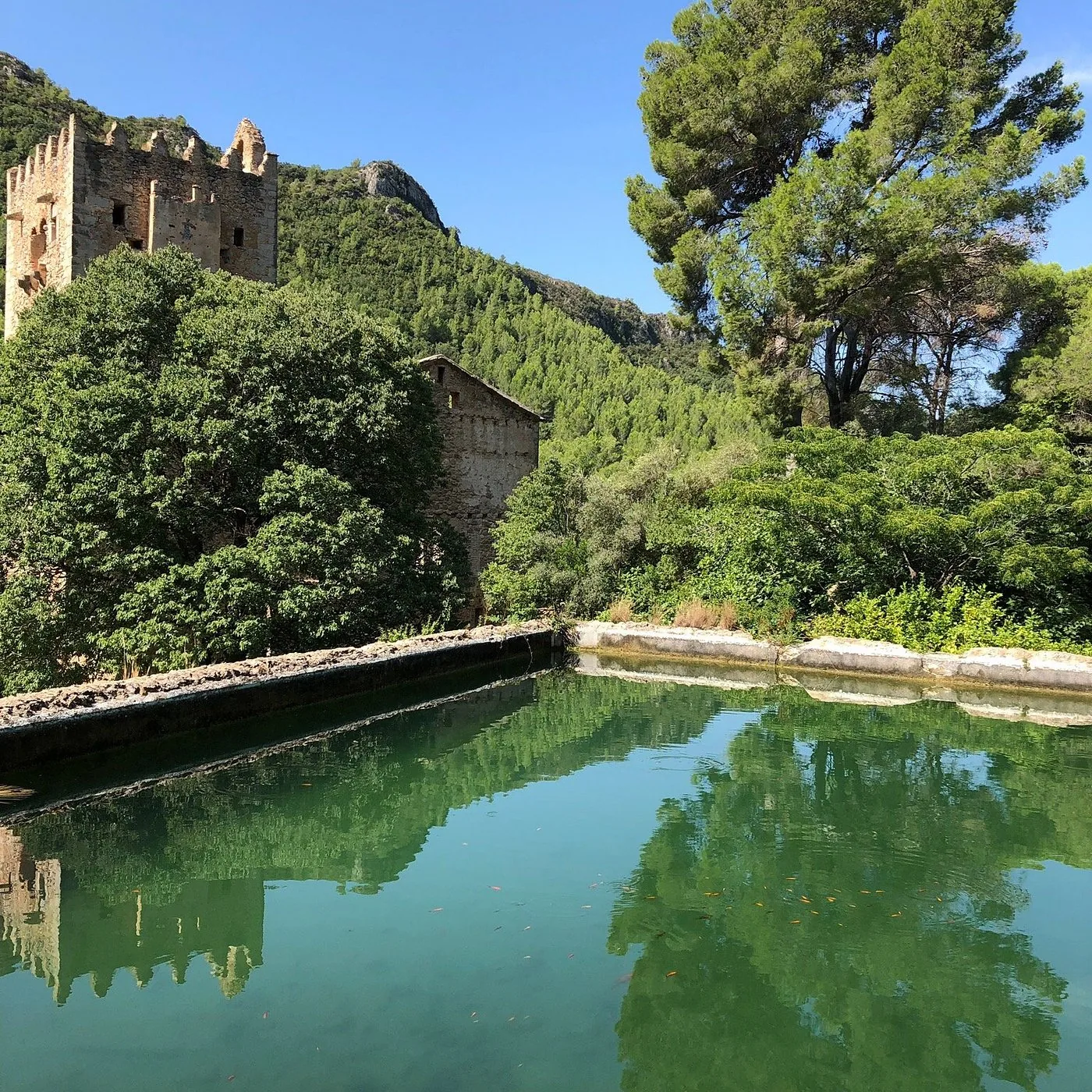 Alzira — Vallée de la Murta