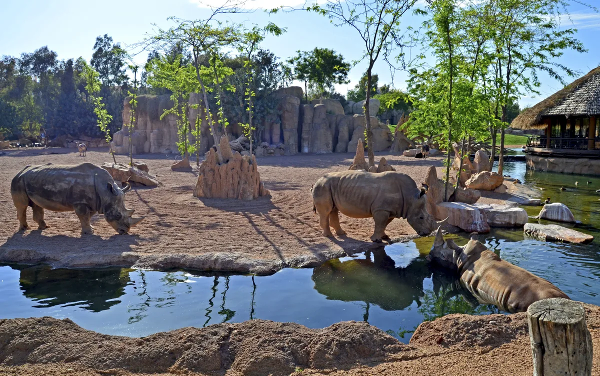 Bioparc Valencia